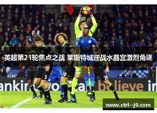 英超第21轮焦点之战 莱斯特城迎战水晶宫激烈角逐