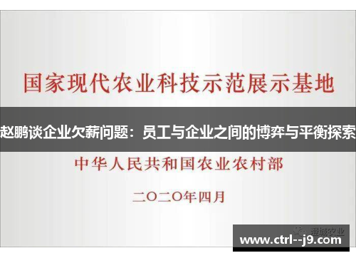 赵鹏谈企业欠薪问题：员工与企业之间的博弈与平衡探索