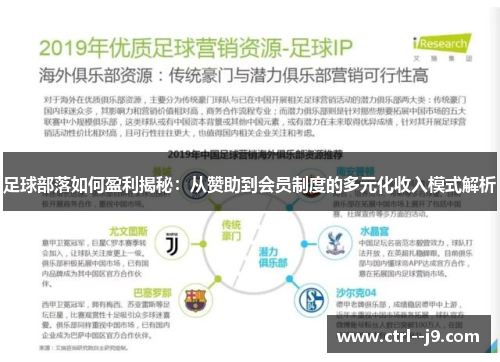 足球部落如何盈利揭秘:从赞助到会员制度的多元化收入模式解析 足球部落如何盈利揭秘:从赞助到会员制度的多元化收入模式解析