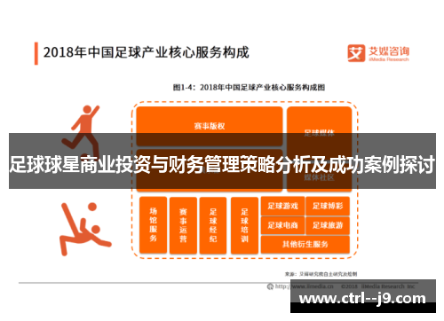 足球球星商业投资与财务管理策略分析及成功案例探讨