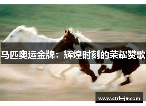 马匹奥运金牌：辉煌时刻的荣耀赞歌