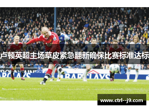 卢顿英超主场草皮紧急翻新确保比赛标准达标