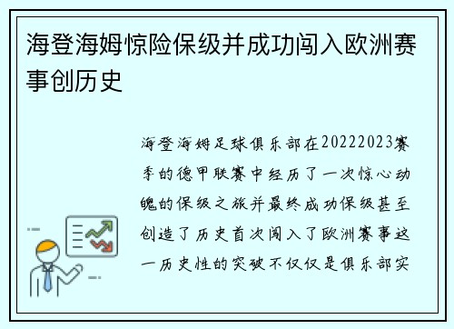 海登海姆惊险保级并成功闯入欧洲赛事创历史 海登海姆惊险保级并成功闯入欧洲赛事创历史